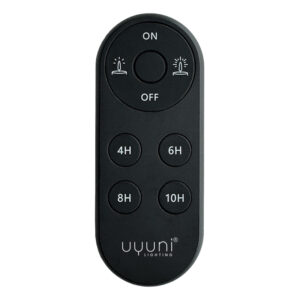 zwarte remote controle